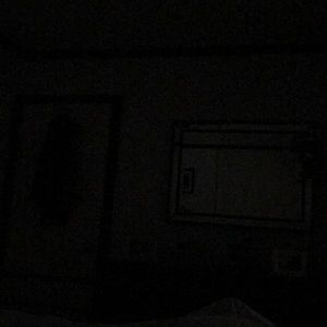 Meet your Posher, Joey